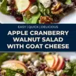 apple cranberry walnut salad with goat cheese 2026 01 25 014100 512x1024 1