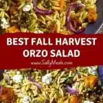 best fall harvest orzo salad 2026 01 25 014103 1
