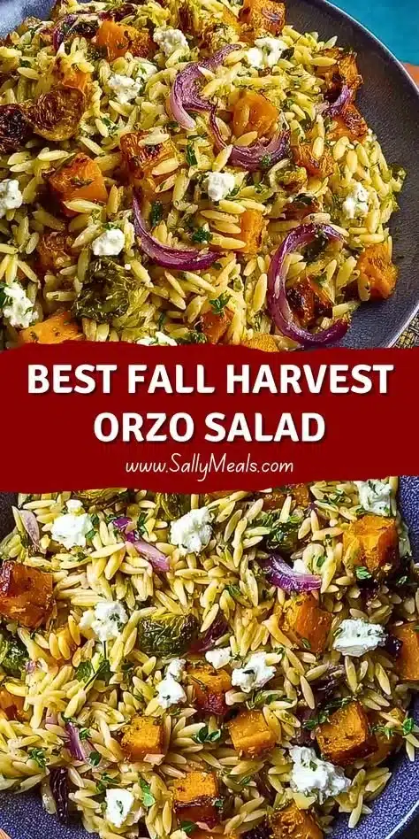 Colorful Fall Harvest Orzo Salad with seasonal vegetables and herbs.