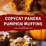 copycat panera pumpkin muffins 2026 01 25 014104 1