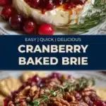 cranberry baked brie 2026 01 25 014030 512x1024 1