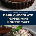 dark chocolate peppermint mousse tart 2026 01 25 014031 512x1024 1