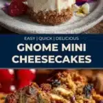 gnome mini cheesecakes 2026 01 25 014035 512x1024 1