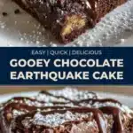 gooey chocolate earthquake cake 2026 01 25 014045 512x1024 1