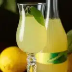 Homemade Limoncello 3 homemade limoncello 2026 01 30 024152 1