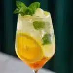 hugo spritz 2026 01 30 024234 1