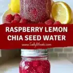 raspberry lemon chia seed water 2026 01 25 014132 1