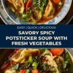 savory spicy potsticker soup with fresh vegetables 2026 01 25 014057 512x1024 1