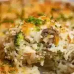chicken rice casserole 2026 03 07 165125 1